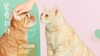 宠物专栏 篇八十三：这款猫粮，让流浪猫也能吃得健康又快乐！