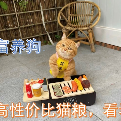 皇家待遇or平民餐？性价比猫粮的终极对决！