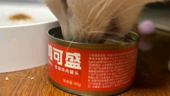 流浪猫救助协会好物之宽福（KUANFU）猫罐头猫零食成猫幼猫罐头湿粮白肉罐头85g*6罐产后母猫营养