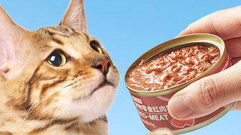 # 京东京造浓汤红肉猫罐头：让毛孩子们欲罢不能！