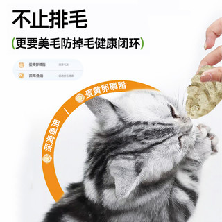 科学养猫，别忘了排毛！