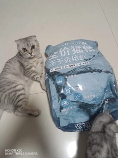 冻干猫粮，给猫咪增肥～