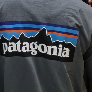 户外运动 篇二：Patagonia T恤评测：舒适？环保？