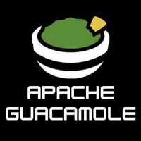 NAS星球 篇十三：出门在外随时随地远程家中电脑——Apache Guamole (一)