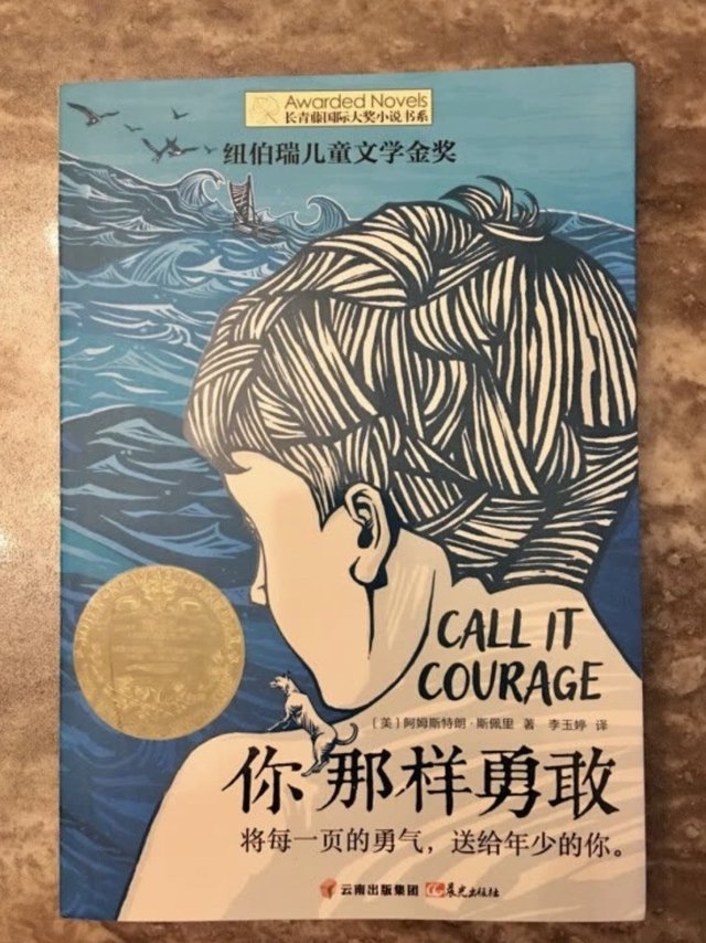 《你那样勇敢》