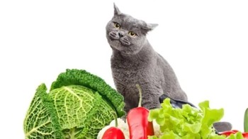 天然粮新选择！宠非凡9拼冻干猫粮，专为成幼猫设计，助力免疫与皮肤健康！