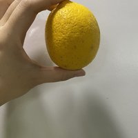福利篇：淘工厂送的柠檬🍋收到了