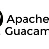 NAS星球 篇十四：出门在外随时随地远程家中电脑——Apache Guamole (二)