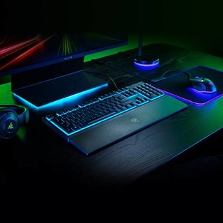 雷蛇 Razer 雨林狼蛛V3 X 轻机械游戏键盘 