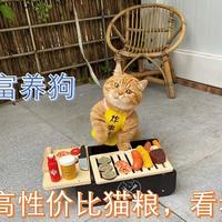 猫粮买这几款，就对了