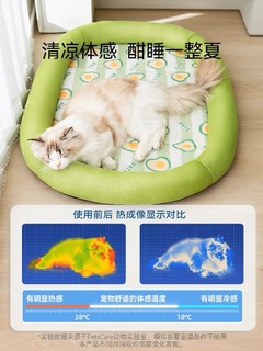 猫咪的秘密小窝