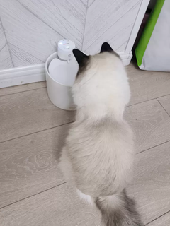  喵享家第五代宠物自动陶瓷猫咪饮水机：恒温、流动、无线，宠物饮水新境界