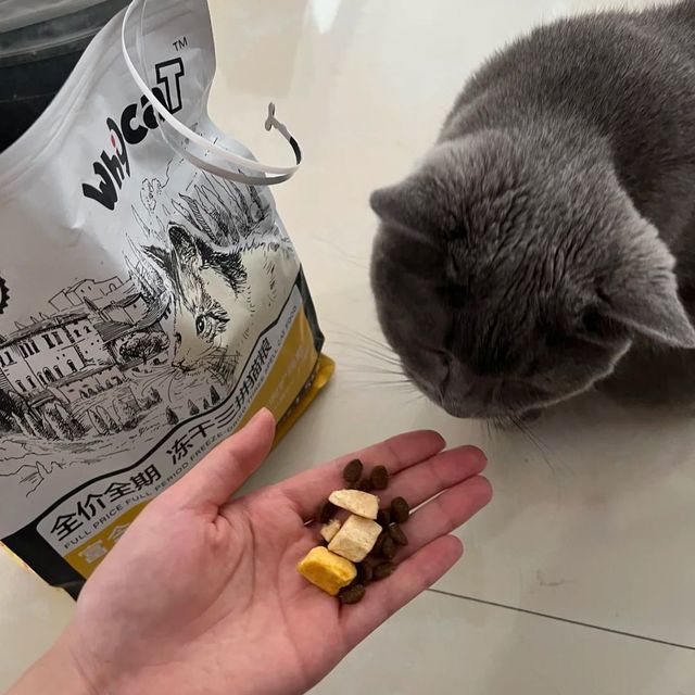 挑剔的猫咪也能满意的好猫粮