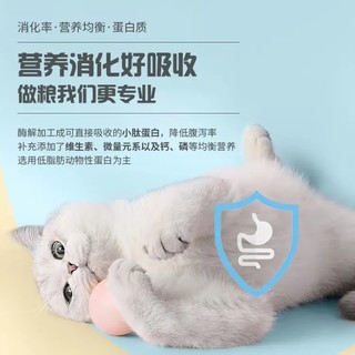 挑剔的猫咪也能满意的好猫粮