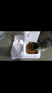 光多拉猫咪自动喂食器猫碗猫食盆饮水机狗吃饭喝水投食猫粮器宠物用品