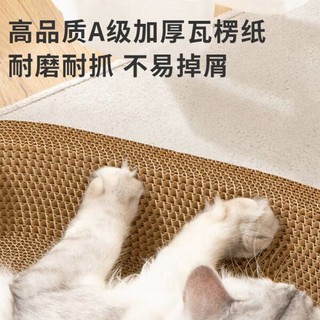 珍宠星球猫抓板：猫咪的欢乐天堂