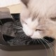 智能升级！SMARTTAIL LITE猫咪饮水机，让猫咪饮水更健康！