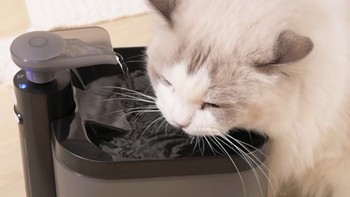 智能升级！SMARTTAIL LITE猫咪饮水机，让猫咪饮水更健康！