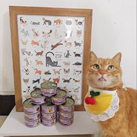 猫咪爱吃的零食罐头