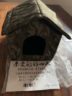 流浪猫咪们的秘密基地？