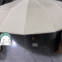 小清新抗风晴雨伞