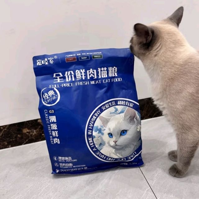 猫咪握手，萌翻全场！