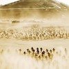 《沙丘2》：延续了第一部史诗般故事的成功之作
