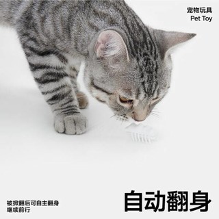 Pidan猫玩具小雪怪：猫咪的智趣伴侣