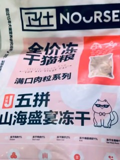 猫咪的饕餮盛宴