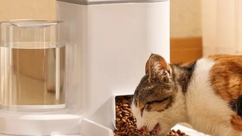 猫咪自动喂食就选一体机！