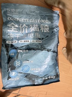 让小猫要改善一下生活