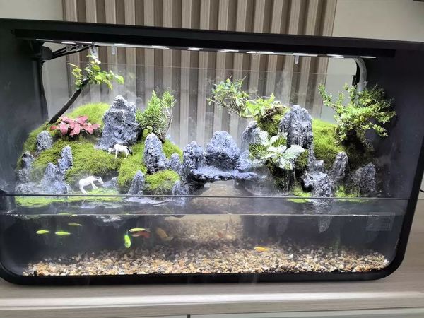 以其独特的设计和卓越的性能，成为了当下水族爱好者们的首选。