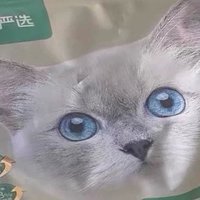 网易严选猫粮：专为主子打造的味蕾盛宴