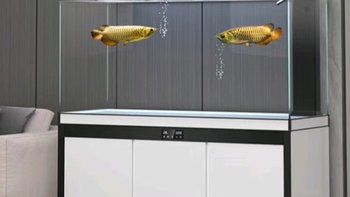 神奇！这些鱼缸设计让你家秒变网红景点