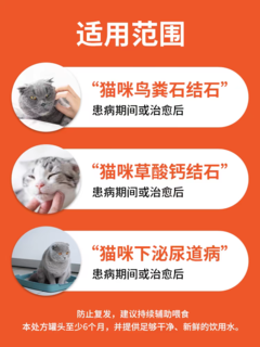 猫咪很喜欢