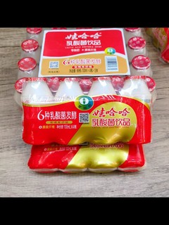 乳酸菌饮料