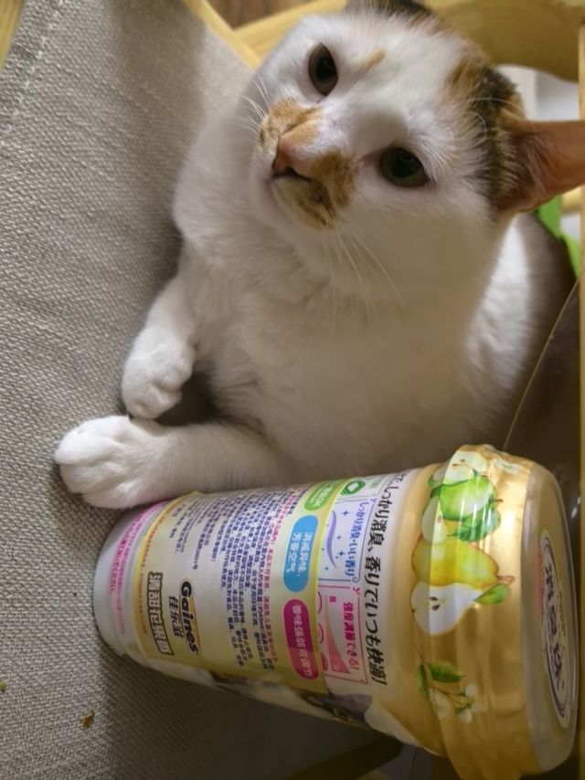 这个是香的，挺香的，可以除臭的；不是吃的！！！