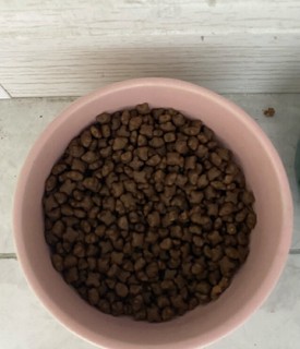 WOWO幼猫猫粮 全价无谷源乳配方奶糕猫干粮250g 84.3%动物肉奶