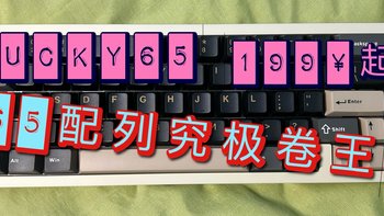 当前最具性价比的65%键盘——维咖Lucky65详测，建议改名“雨65”！！