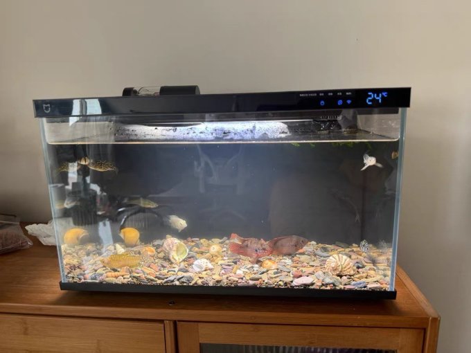 小米鱼缸优缺点