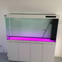 汉霸超白玻璃鱼缸：打造客厅中的海洋秘境