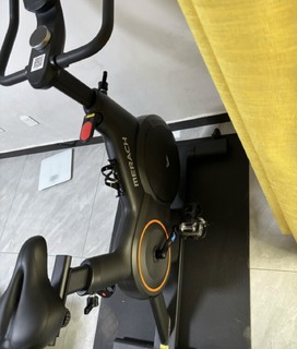 麦瑞克（MERACH）动感单车自发电家用智能调阻运动健身器材室内自行车 绝影X 2024新升级自发电-全智￼￼