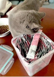 🐱多特思(DOTUS)猫零食猫条，猫咪的味蕾盛宴！🎉