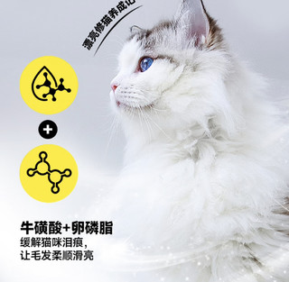 猫咪吃得根本停不下来，太香了