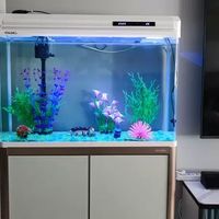 中小型客厅落地懒人生态鱼缸，让你的家焕发新生！