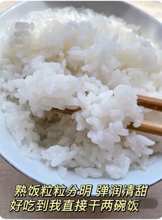 💥炸裂口感！十月稻田新米来啦！🍚