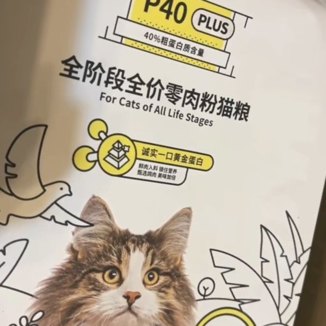 猫粮不错的