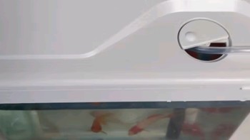 i鱼v,养鱼鱼缸之技研精工（JIYJNJINGGONG）鱼缸客厅小型家用带增氧桌面超白玻璃过滤免换水