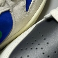 双出街潮鞋！AJ1 “Ts 平替”与Dunk sb “蓝米绿”的对比体验