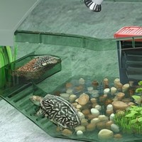 水龟缸